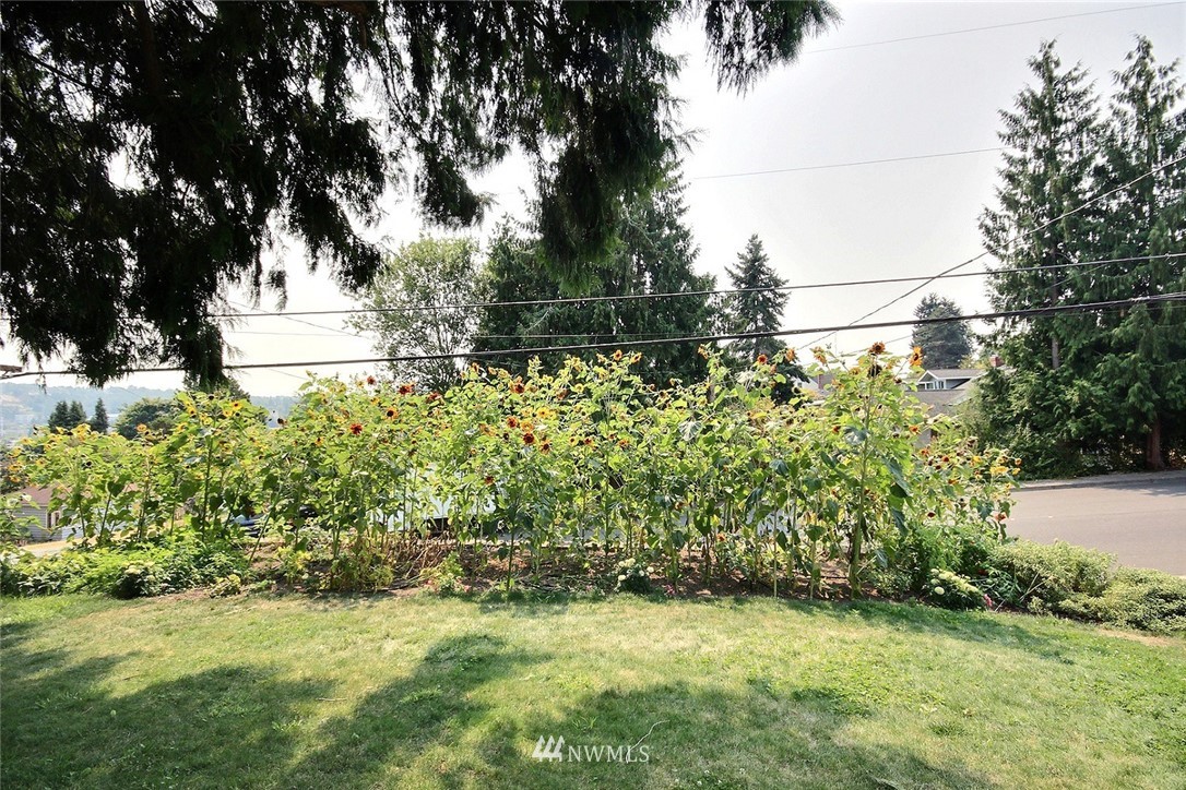 316 Southwest Langston Road Renton, WA 98057 - Photo 3 of 18