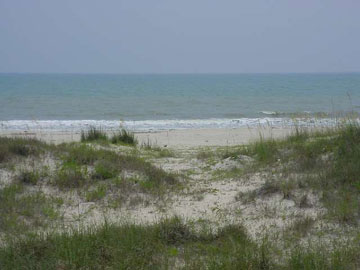 Painted Pony Road, Unit SEE Port St. Joe, FL 32456 - Photo 1 of 1