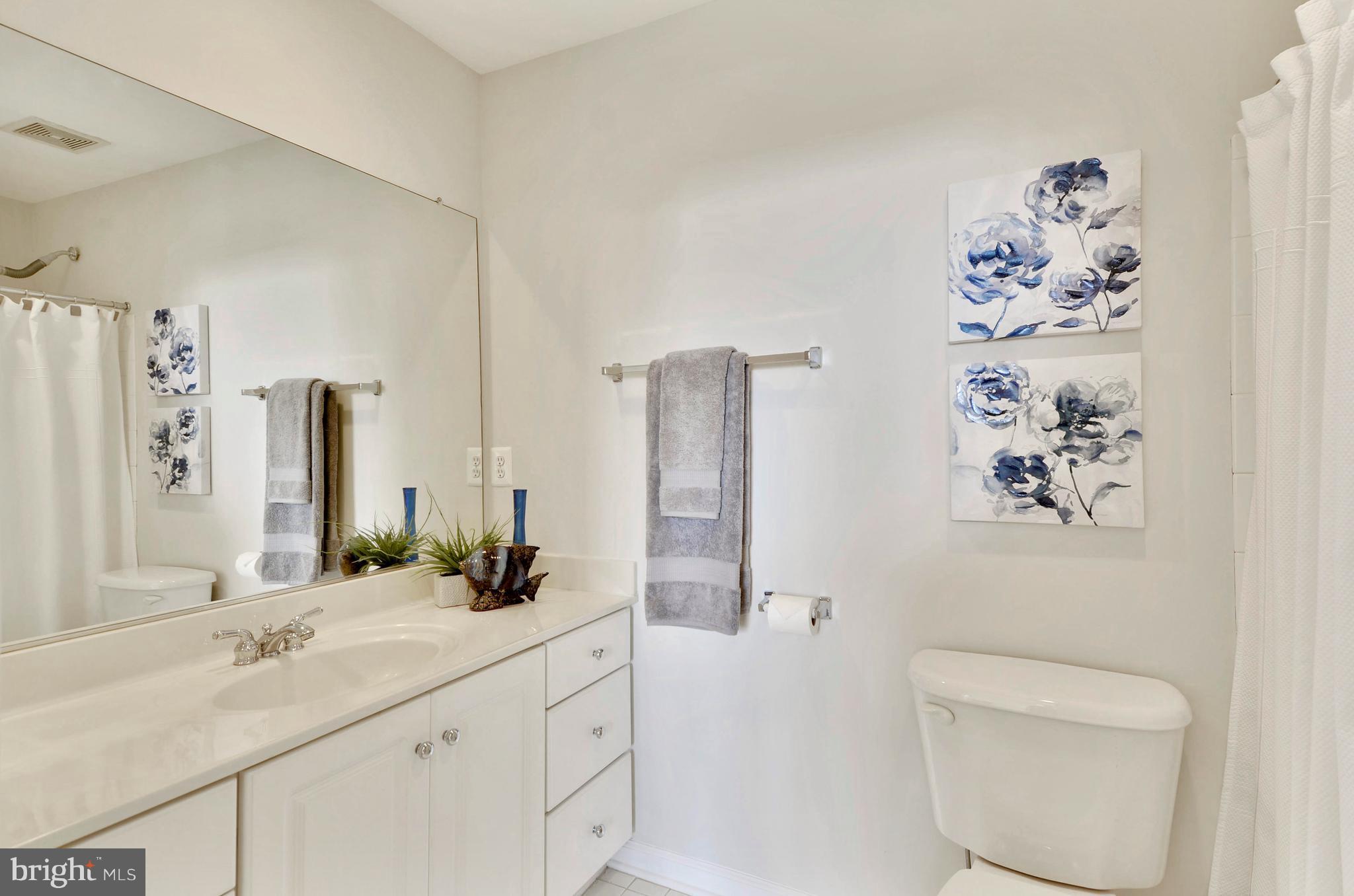 815 G Street Southwest Washington, DC 20024 - Photo 28 of 30 Bath