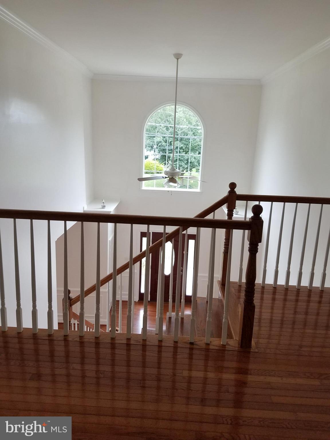 8135 Drayton Lane Springfield, VA 22151 - Photo 11 of 29 Interior (General)