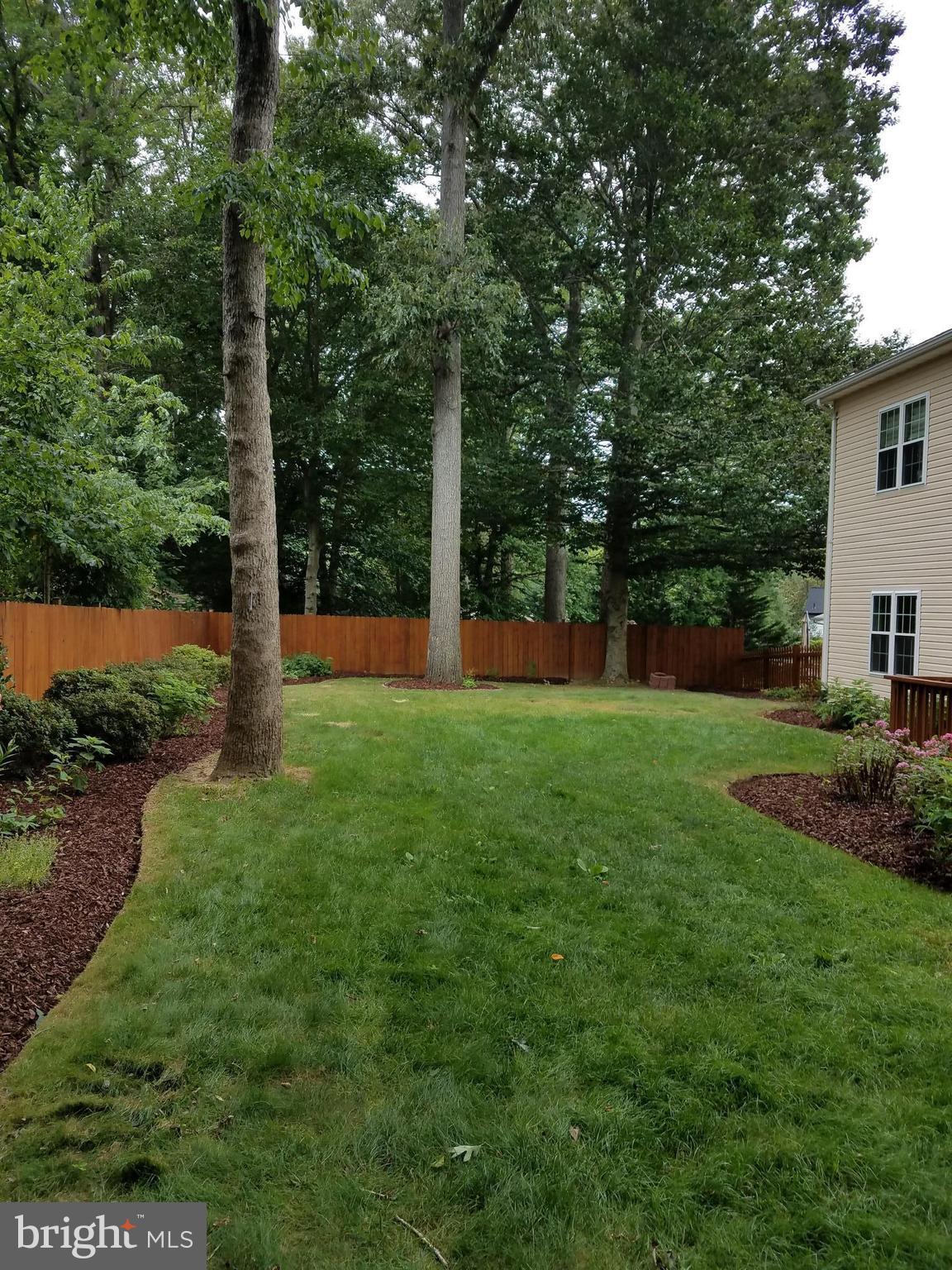 8135 Drayton Lane Springfield, VA 22151 - Photo 29 of 29 Exterior (Rear)