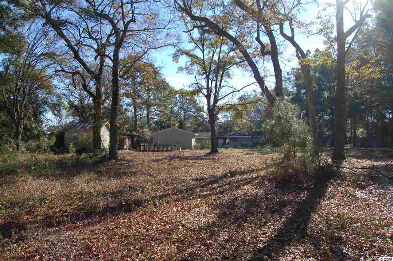 5188 Wesley Road Murrells Inlet, SC 29576 - Photo 23 of 24