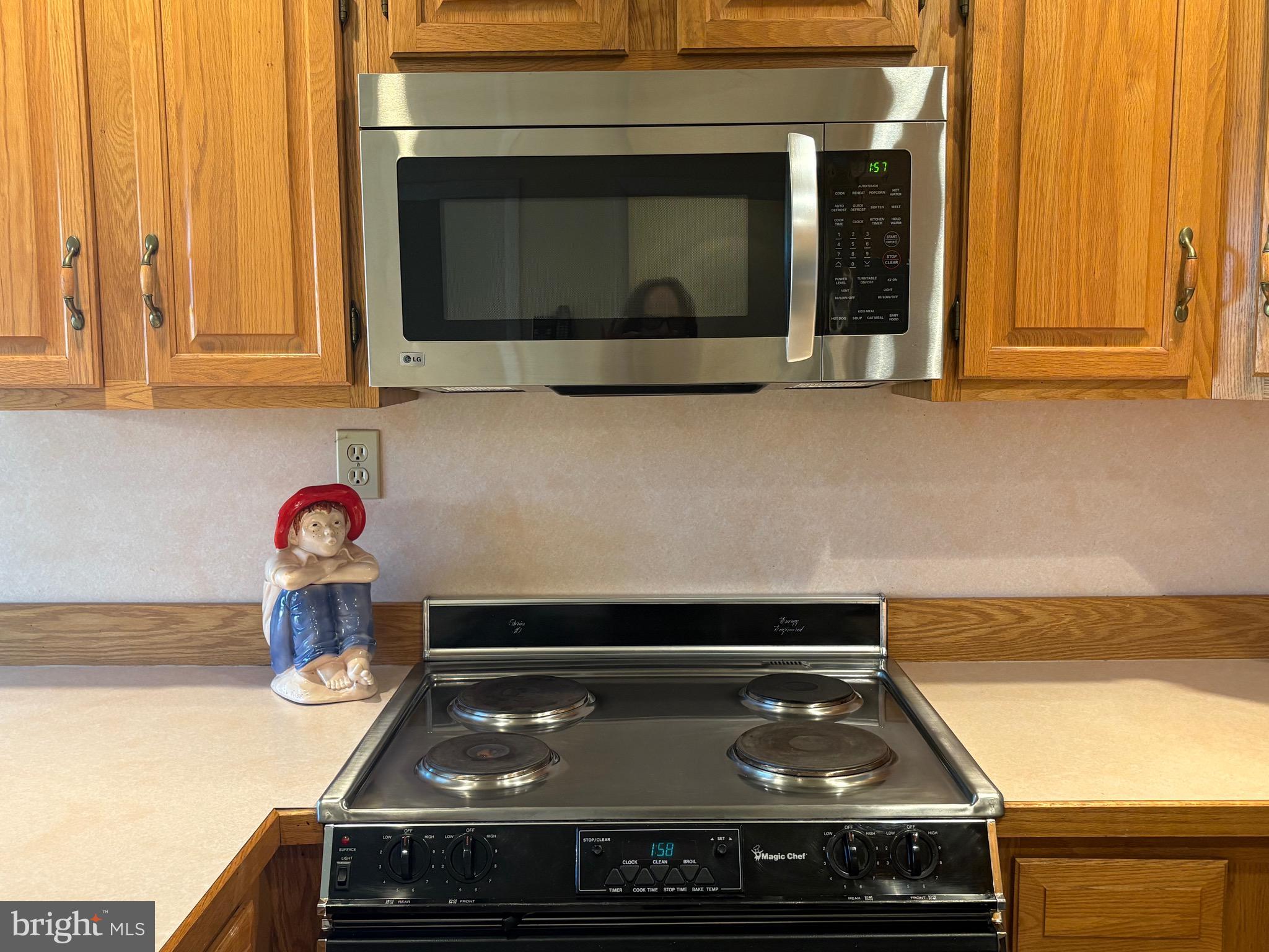 1306 Neck Road Burlington, NJ 08016 - Photo 5 of 22 Stainless Steel Appliances