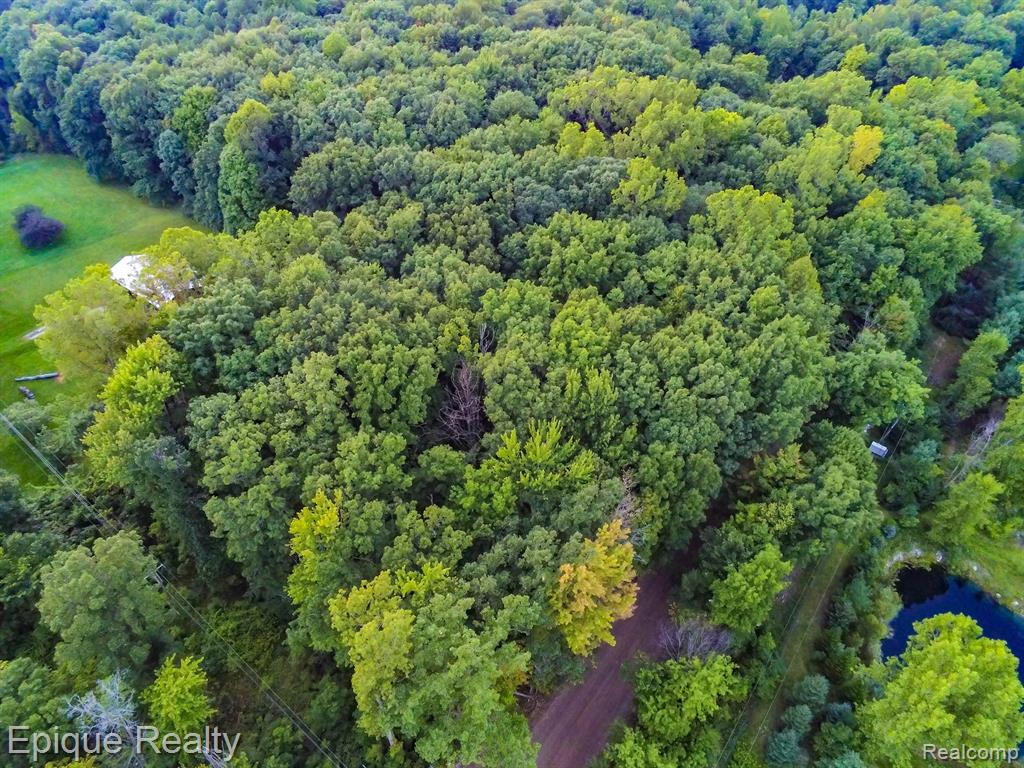 -tbd Hagerman Road Leonard, MI 48367 - Photo 4 of 5