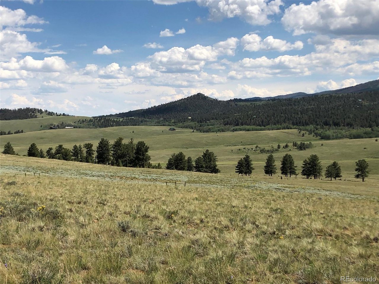 683 Wagon Wheel Road Hartsel, CO 80449 - Photo 11 of 22 Gallery Image 11
