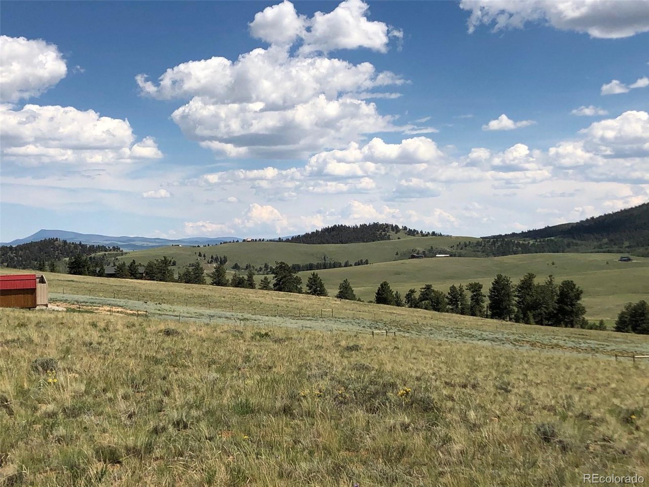 683 Wagon Wheel Road Hartsel, CO 80449 - Photo 12 of 22 Gallery Image 12