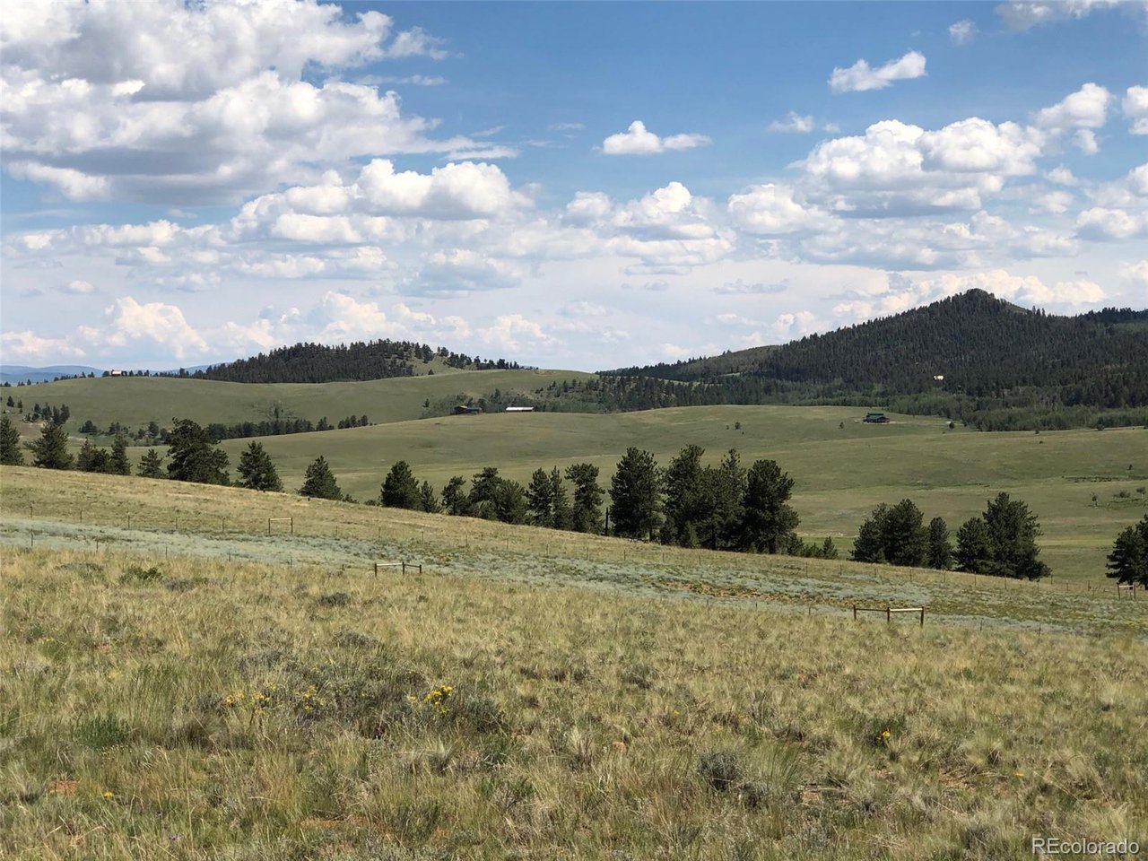 683 Wagon Wheel Road Hartsel, CO 80449 - Photo 15 of 22 Gallery Image 15