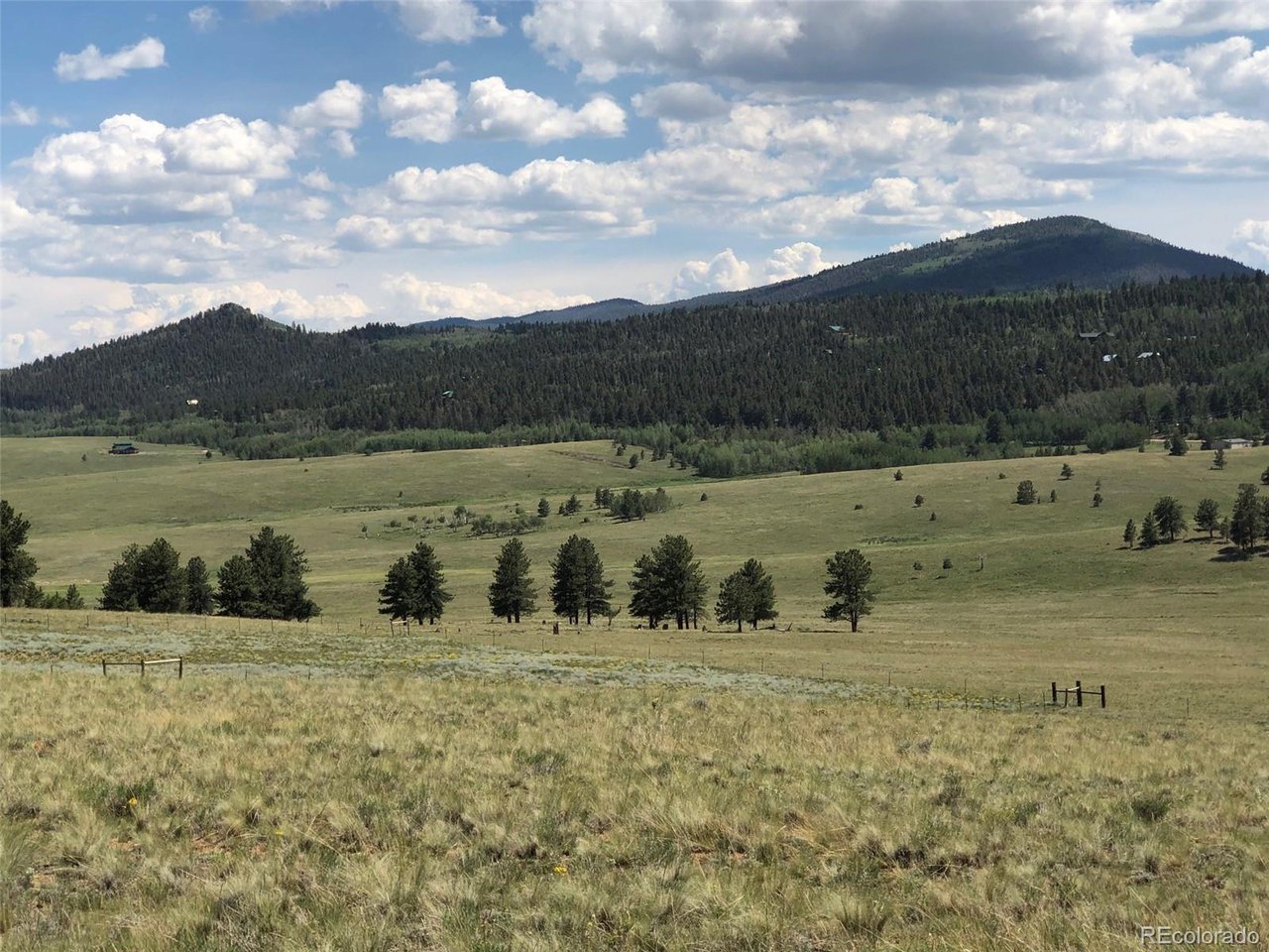683 Wagon Wheel Road Hartsel, CO 80449 - Photo 16 of 22 Gallery Image 16