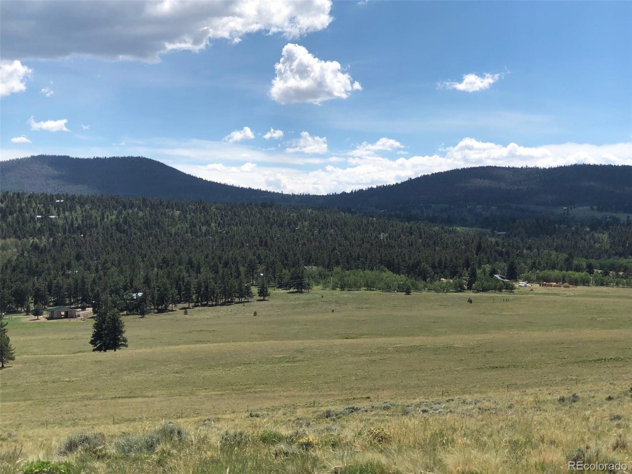 683 Wagon Wheel Road Hartsel, CO 80449 - Photo 18 of 22 Gallery Image 18