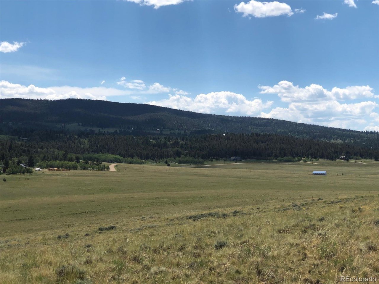 683 Wagon Wheel Road Hartsel, CO 80449 - Photo 19 of 22 Gallery Image 19