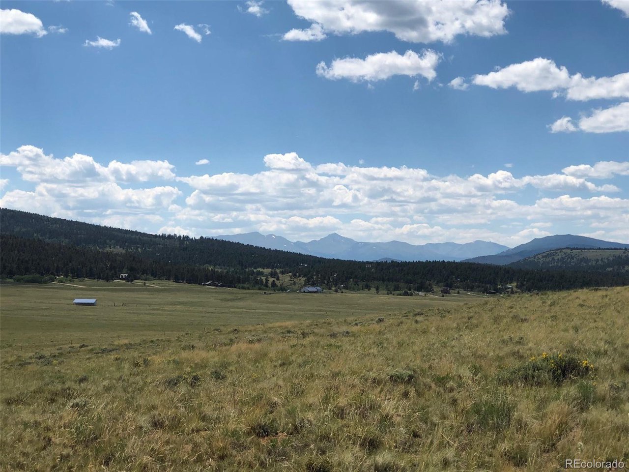 683 Wagon Wheel Road Hartsel, CO 80449 - Photo 20 of 22 Gallery Image 20