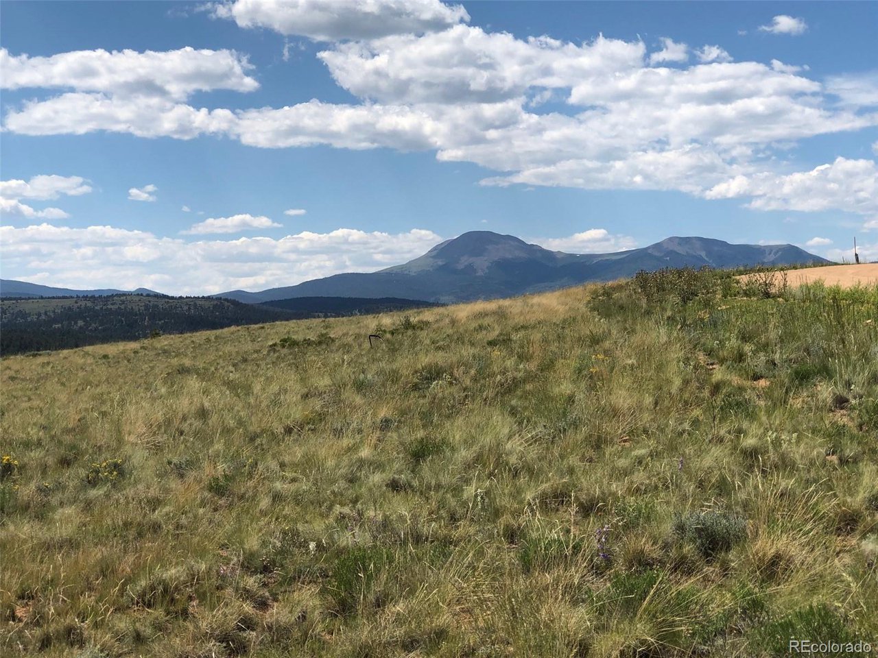683 Wagon Wheel Road Hartsel, CO 80449 - Photo 21 of 22 Gallery Image 21