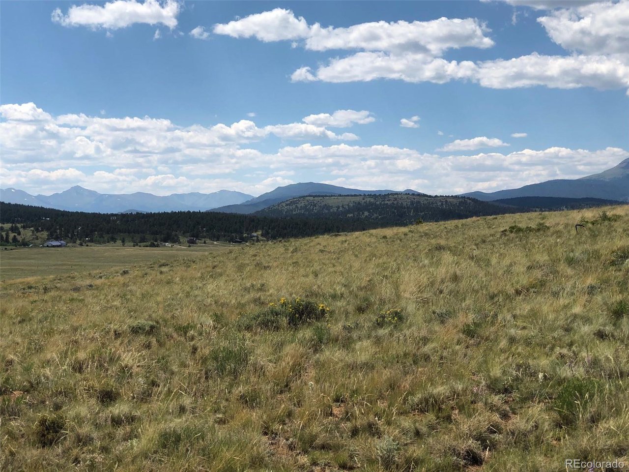 683 Wagon Wheel Road Hartsel, CO 80449 - Photo 22 of 22 Gallery Image 22