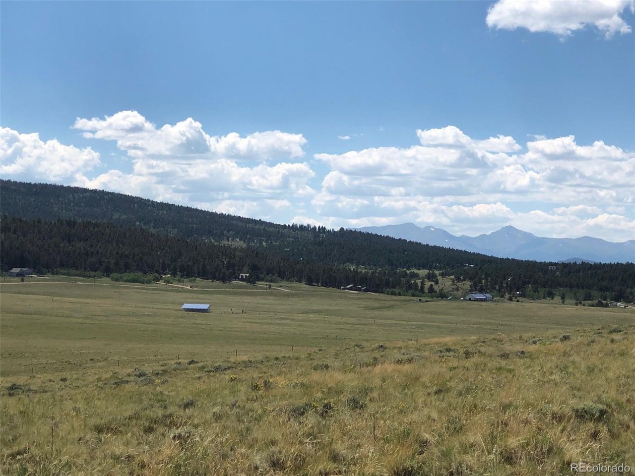 683 Wagon Wheel Road Hartsel, CO 80449 - Photo 8 of 22 Gallery Image 8