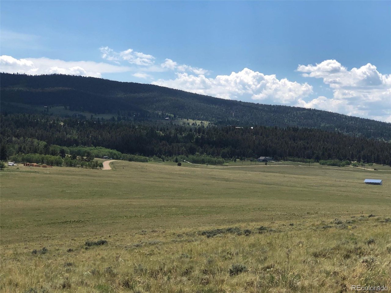 683 Wagon Wheel Road Hartsel, CO 80449 - Photo 9 of 22 Gallery Image 9