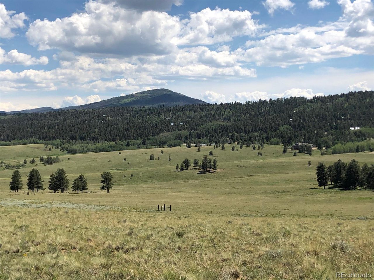 683 Wagon Wheel Road Hartsel, CO 80449 - Photo 10 of 22 Gallery Image 10