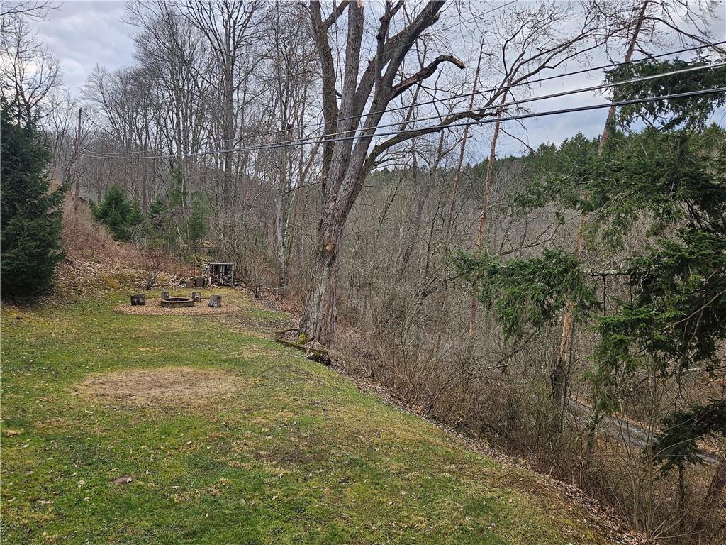 347 Rohrbach Road Chicora, PA 16025 - Photo 36 of 48 Gallery Image 36