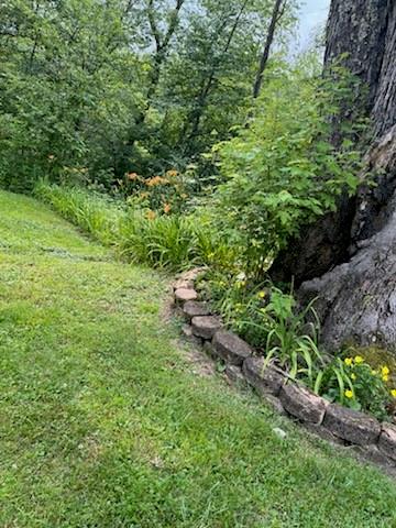 347 Rohrbach Road Chicora, PA 16025 - Photo 40 of 48 Gallery Image 40
