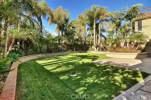 a swimming pool with lots of tress in front of it
