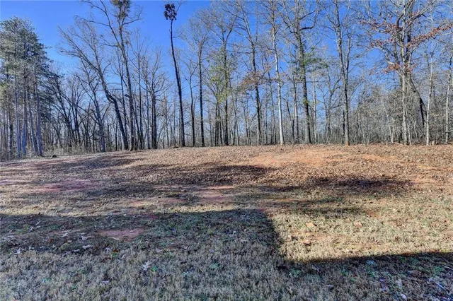 $699,900 | 476 Christmas Tree Road, Homer, GA 30547