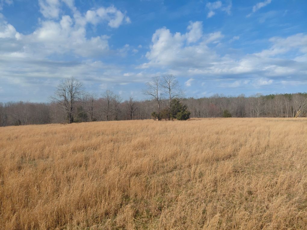 5500 Fortyeight Creek Road Waynesboro, TN 38485 - Photo 4 of 13