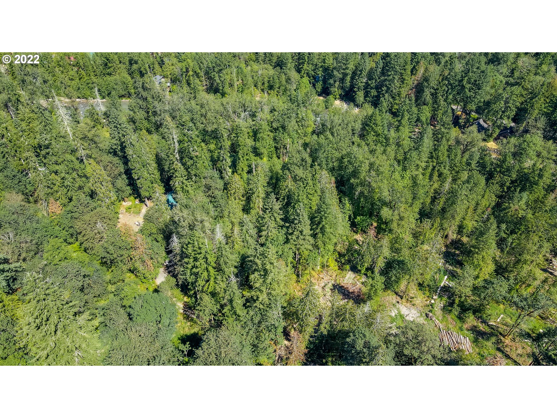 64281 East Brightwood Loop Road Brightwood, OR 97011 - Photo 12 of 28