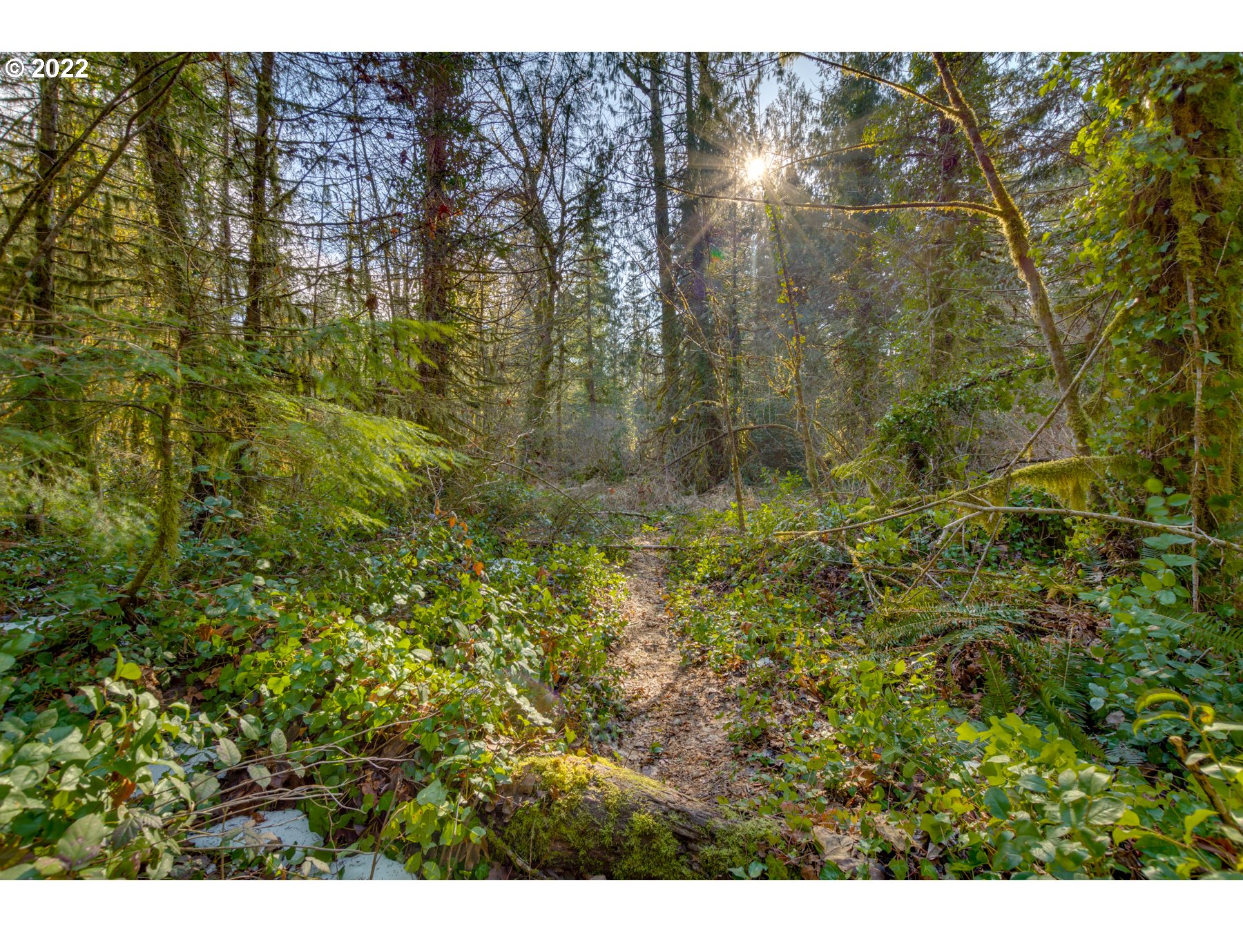 64281 East Brightwood Loop Road Brightwood, OR 97011 - Photo 21 of 28