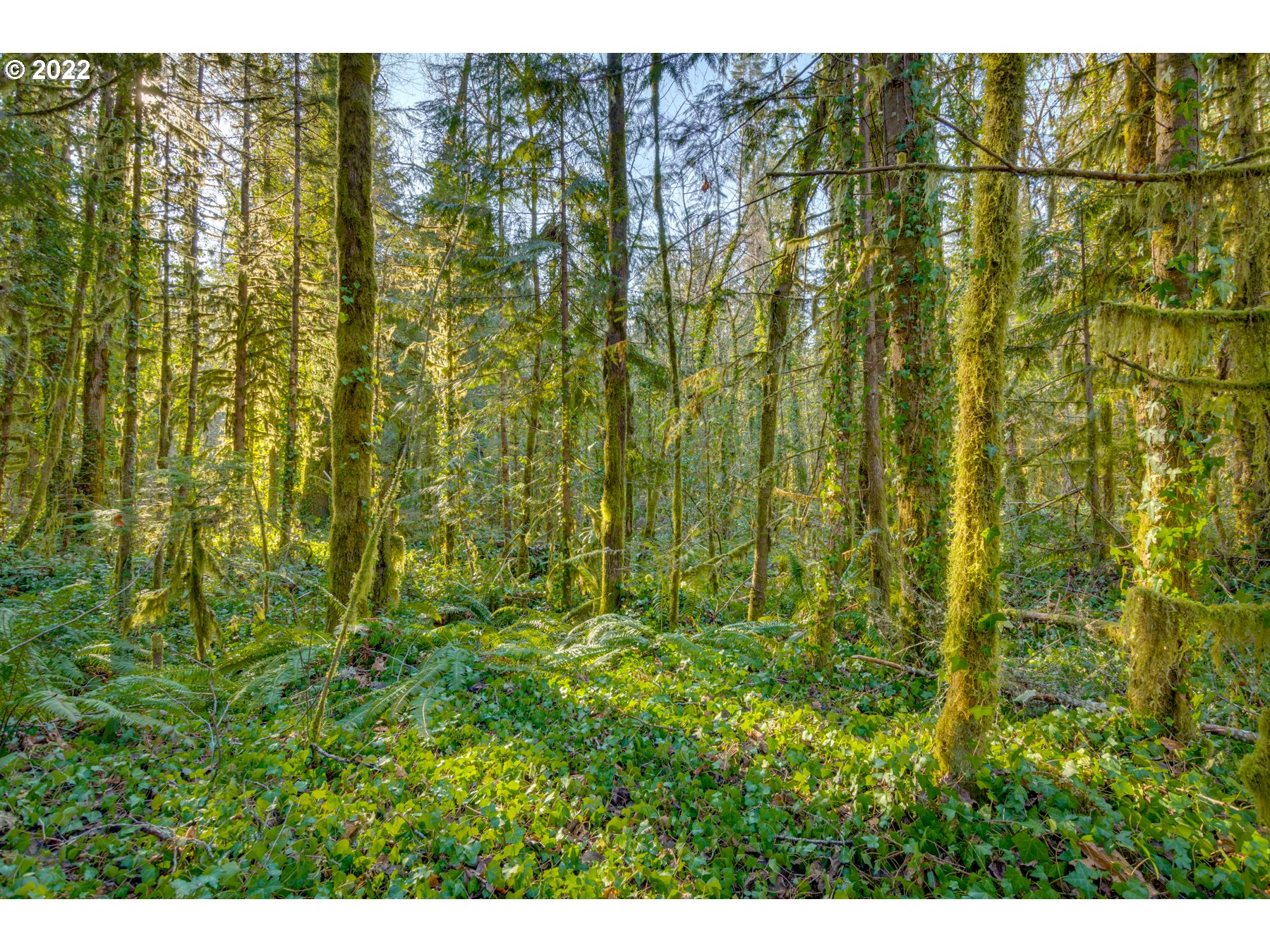 64281 East Brightwood Loop Road Brightwood, OR 97011 - Photo 22 of 28