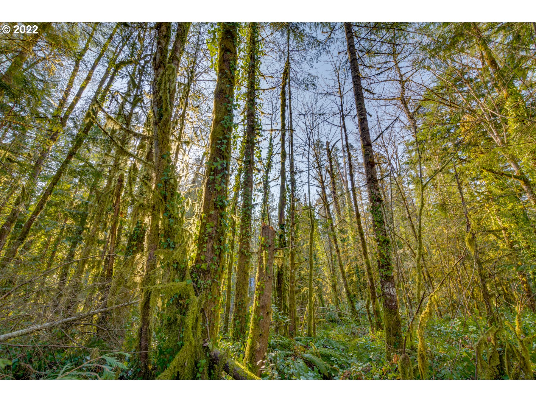 64281 East Brightwood Loop Road Brightwood, OR 97011 - Photo 23 of 28