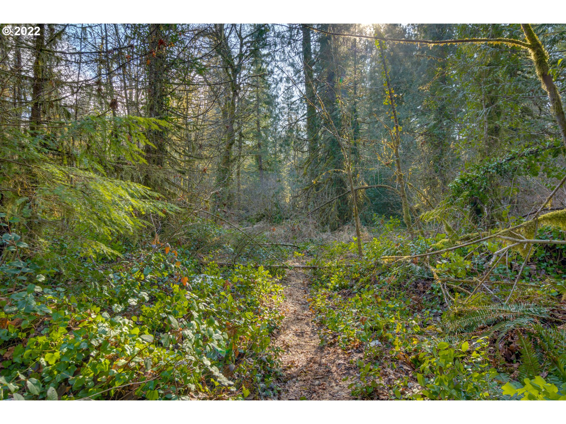 64281 East Brightwood Loop Road Brightwood, OR 97011 - Photo 24 of 28