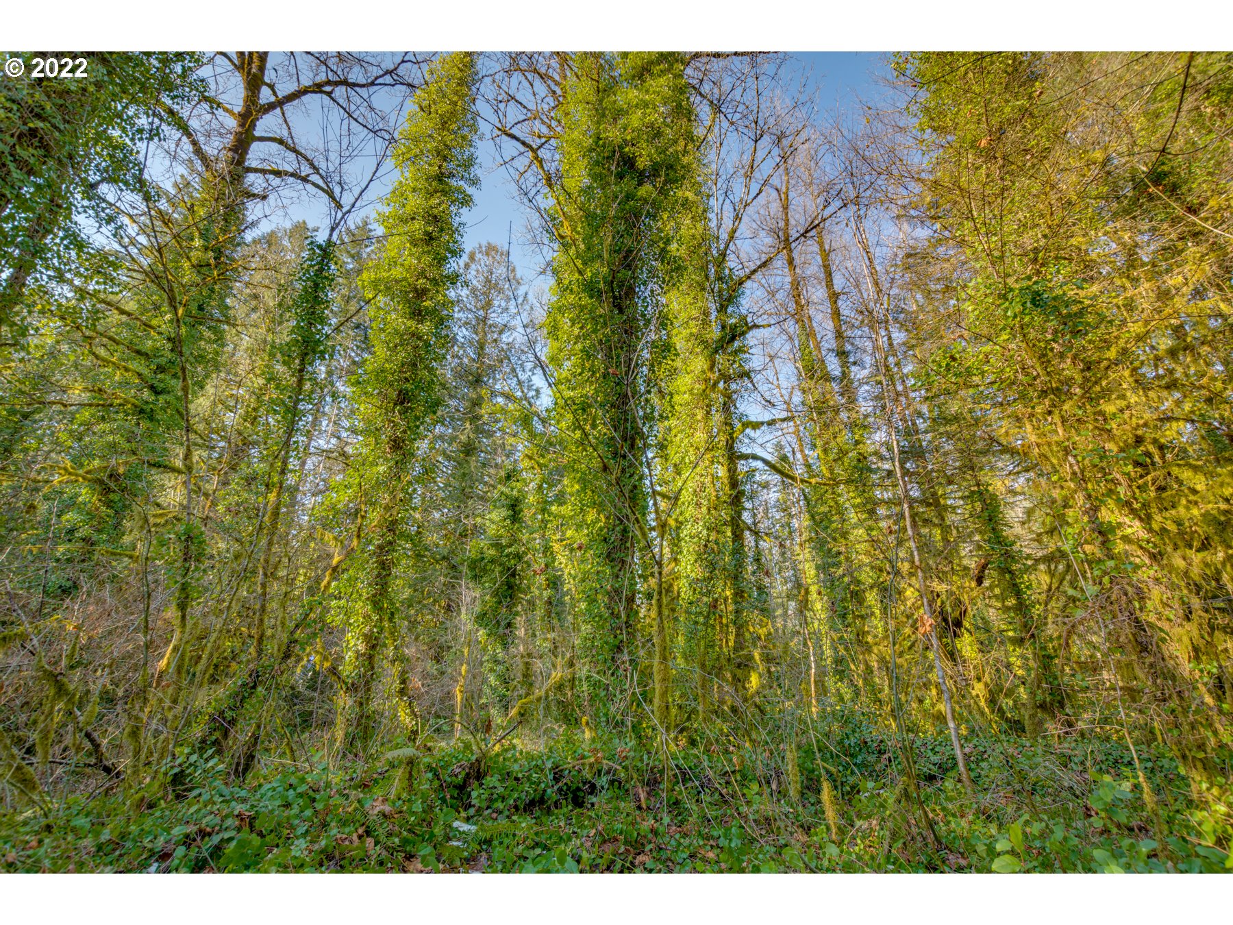 64281 East Brightwood Loop Road Brightwood, OR 97011 - Photo 25 of 28