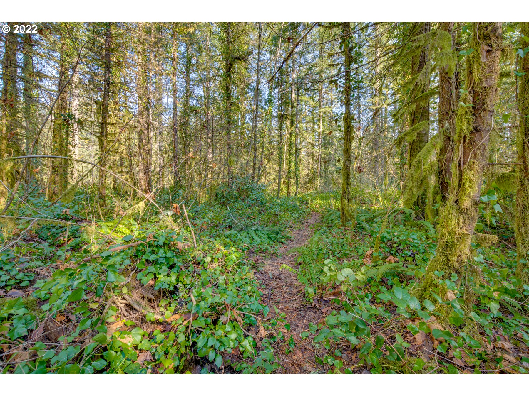 64281 East Brightwood Loop Road Brightwood, OR 97011 - Photo 26 of 28