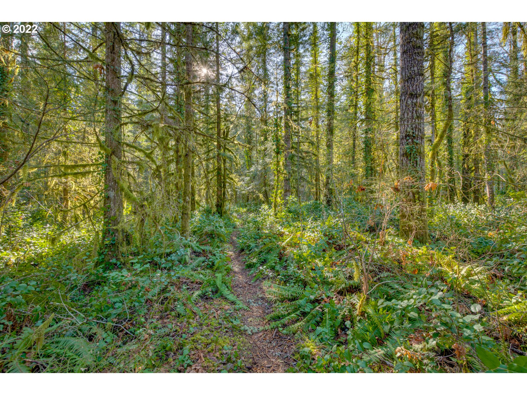 64281 East Brightwood Loop Road Brightwood, OR 97011 - Photo 27 of 28