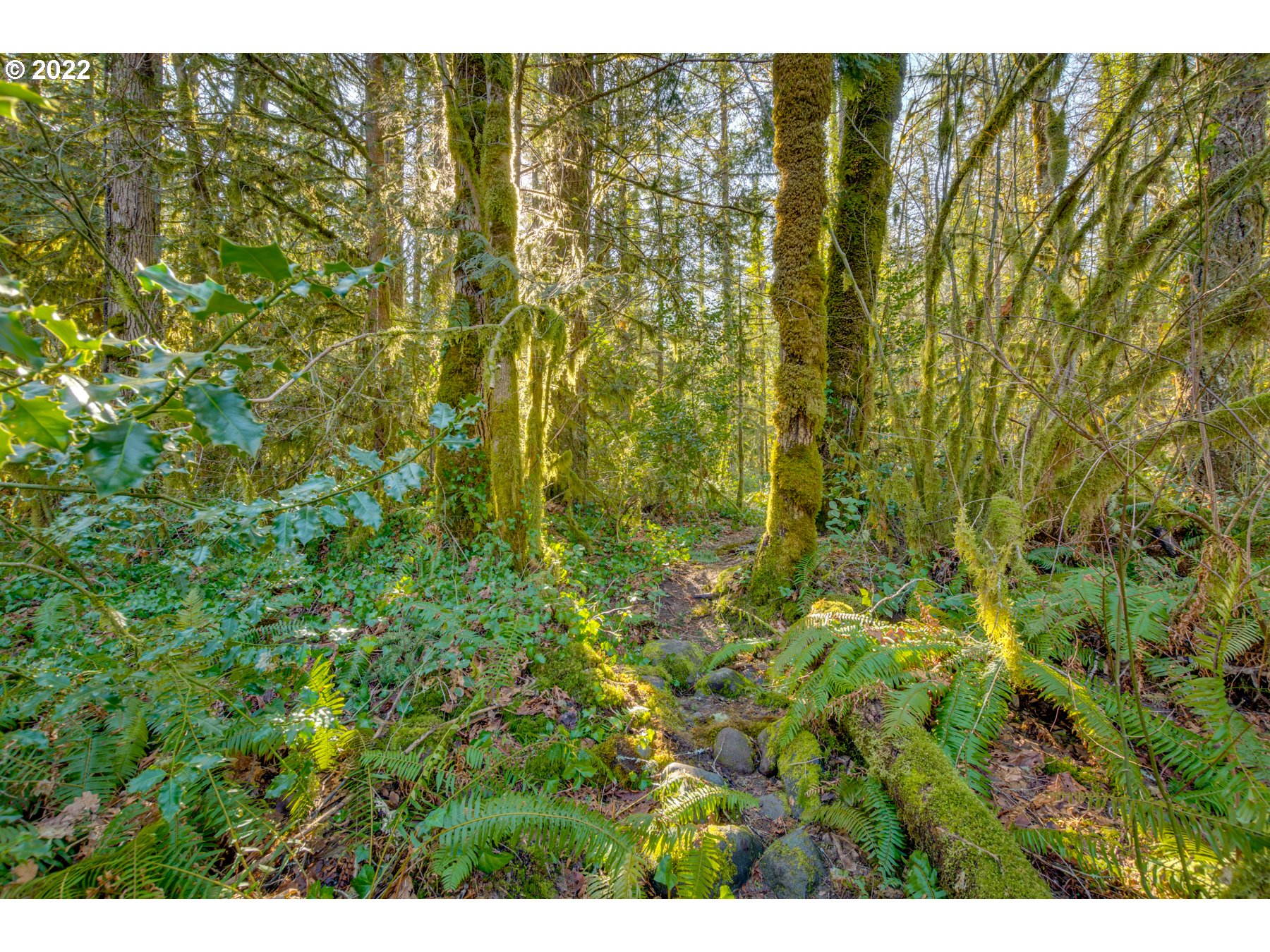 64281 East Brightwood Loop Road Brightwood, OR 97011 - Photo 28 of 28