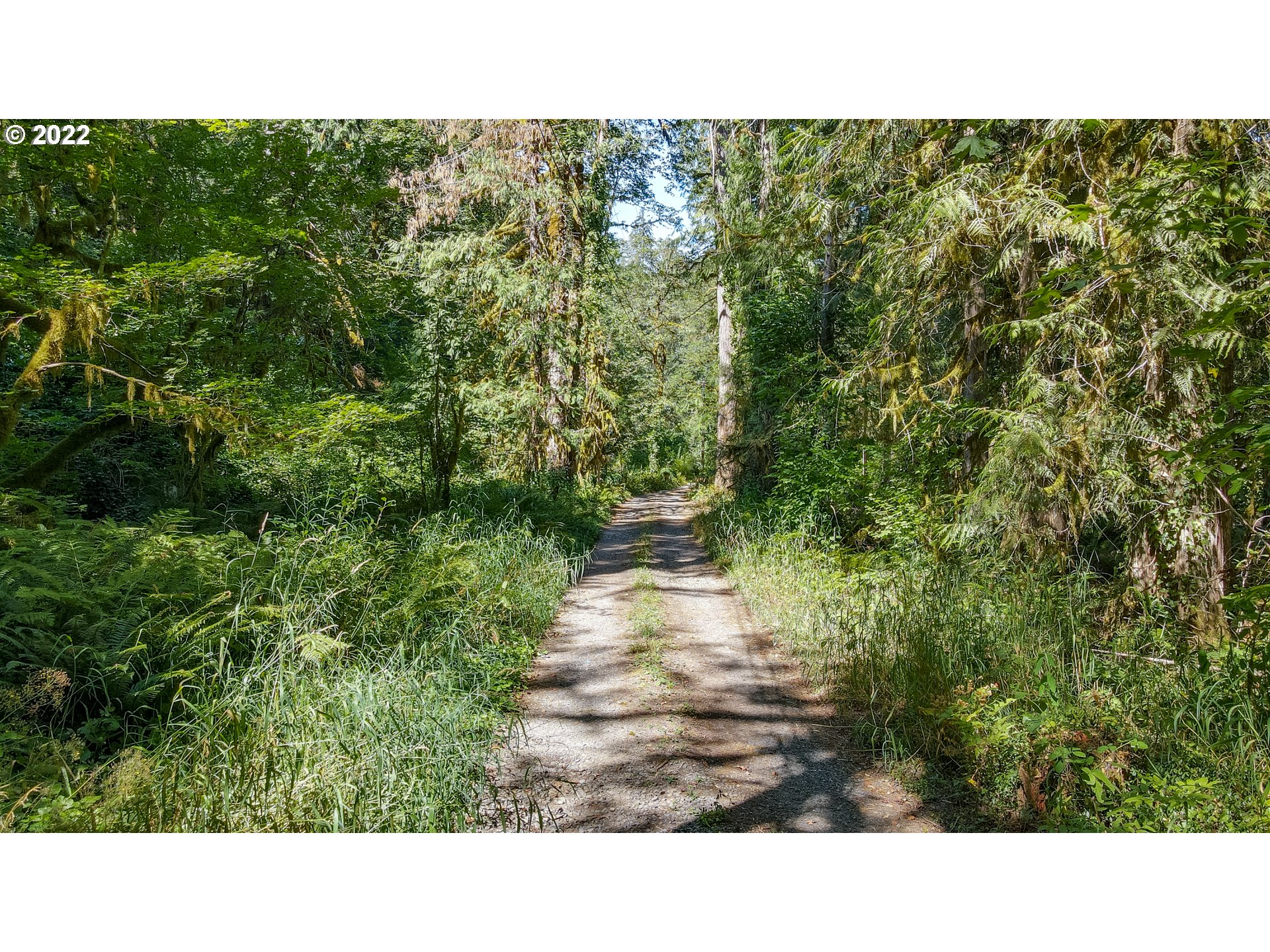 64281 East Brightwood Loop Road Brightwood, OR 97011 - Photo 8 of 28