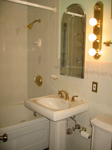 427 South Western Avenue Park Ridge, IL 60068 - Photo 6 of 11
