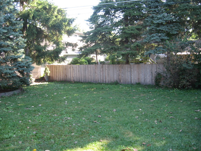 427 South Western Avenue Park Ridge, IL 60068 - Photo 10 of 11