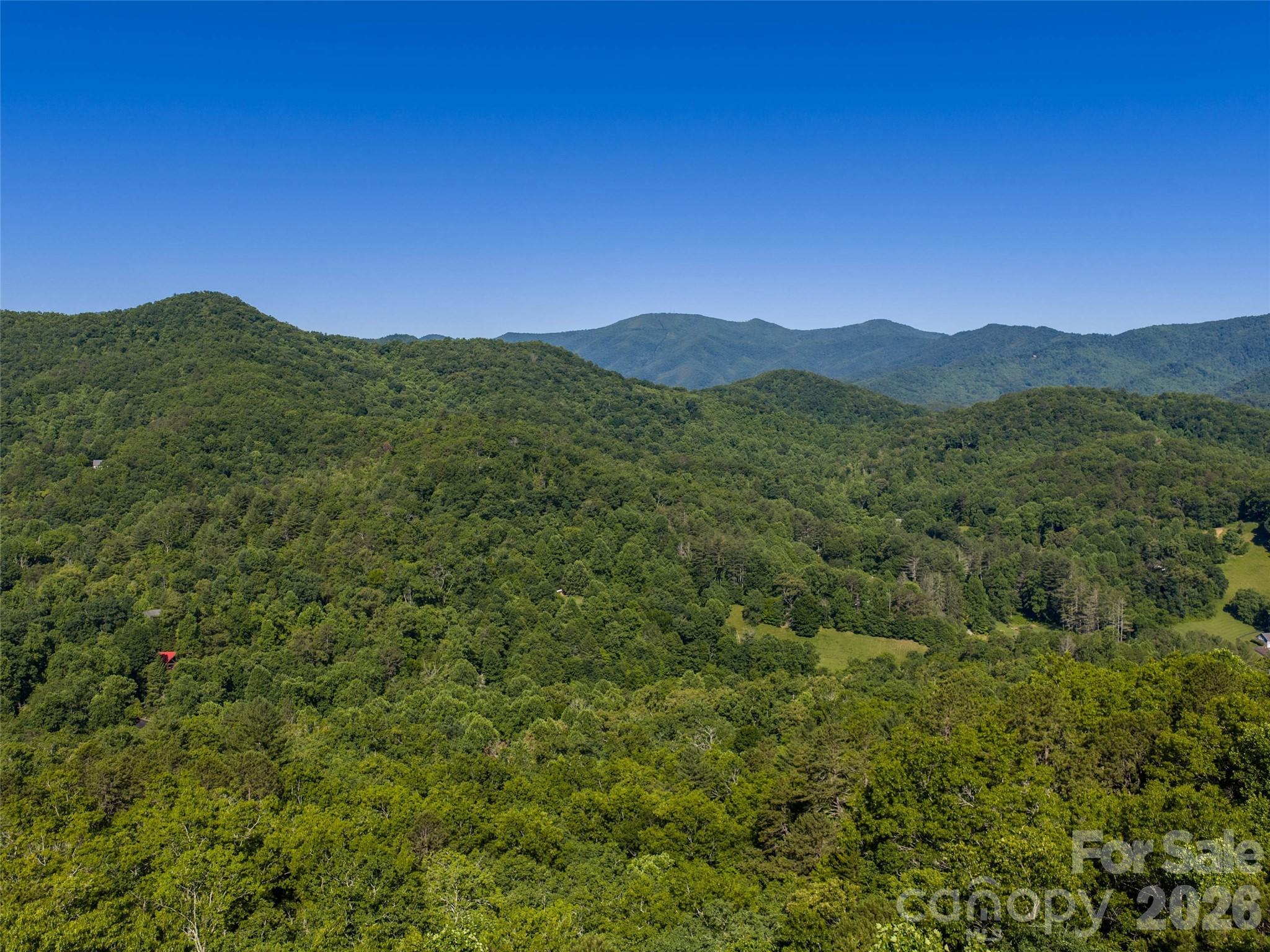 0 Little Savannah Road Sylva, NC 28779 - Photo 3 of 18