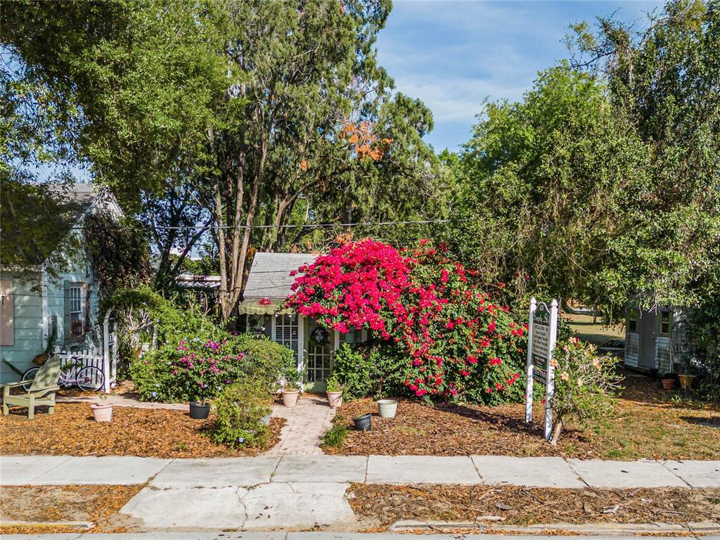 a small garden covered with tall trees