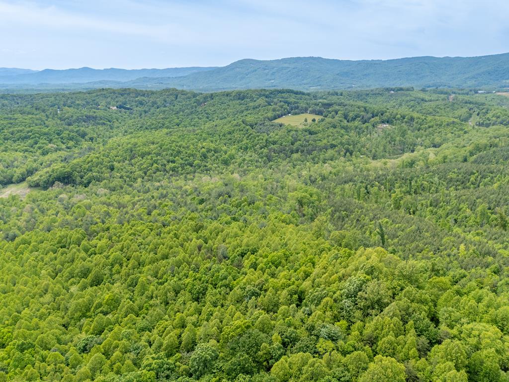 Tbd Ahart Ridge Road, Unit 58 60 61 Ararat, VA 24053 - Photo 16 of 54 Gallery Image 16