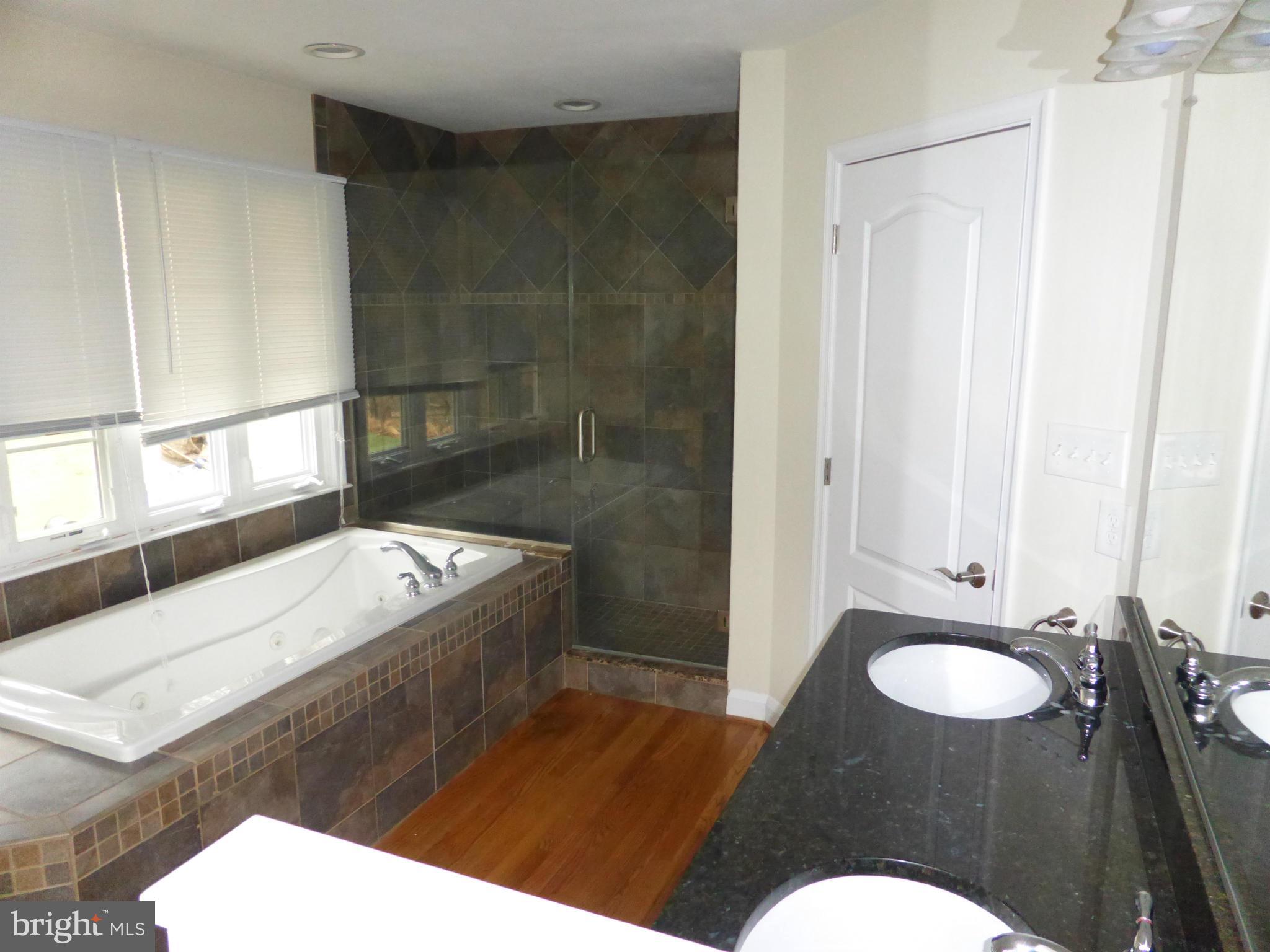 722 Milldam Road Baltimore, MD 21286 - Photo 11 of 16 Bath (Master)
