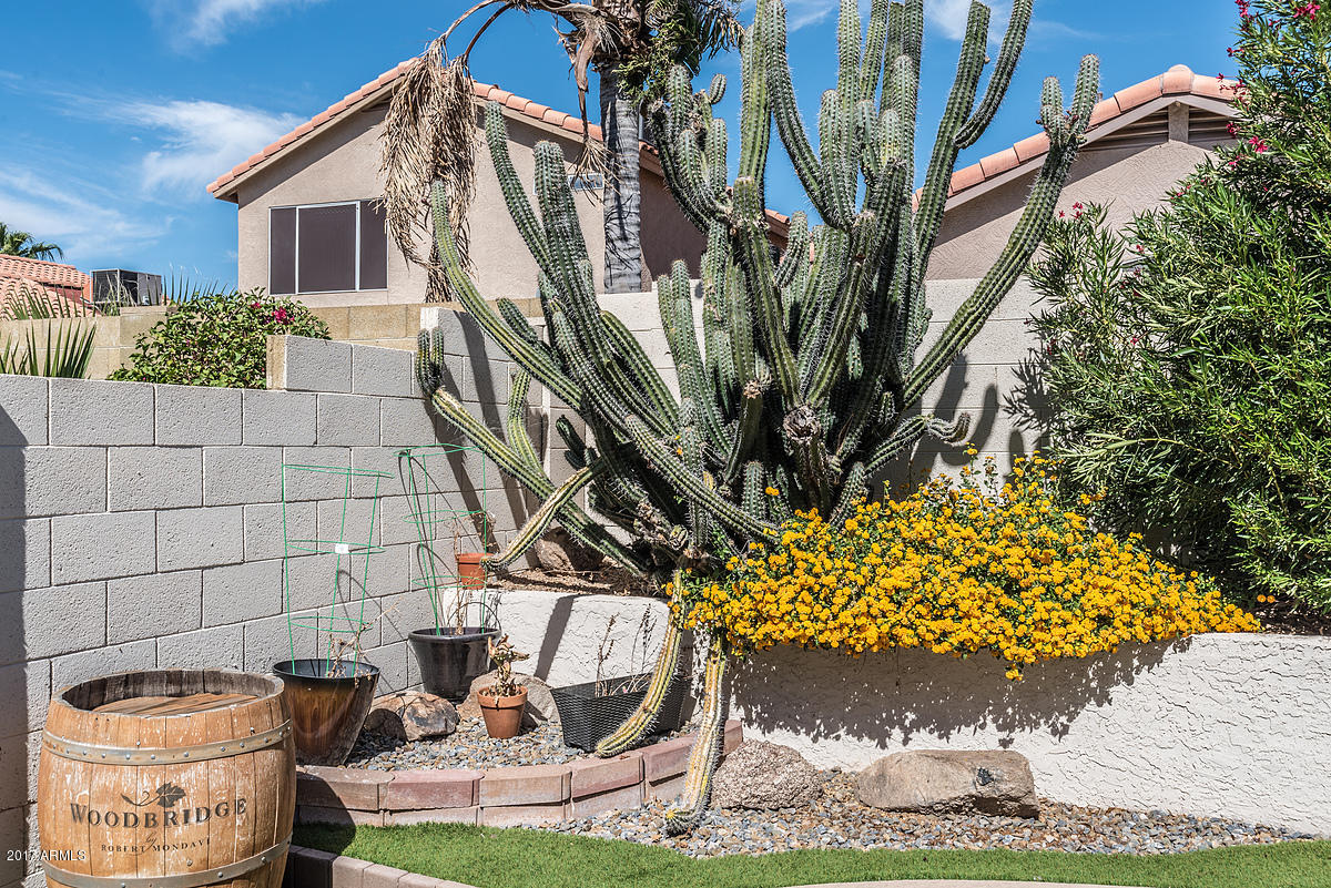 4644 East Danbury Road Phoenix, AZ 85032 - Photo 8 of 36 2017-10-11_0008