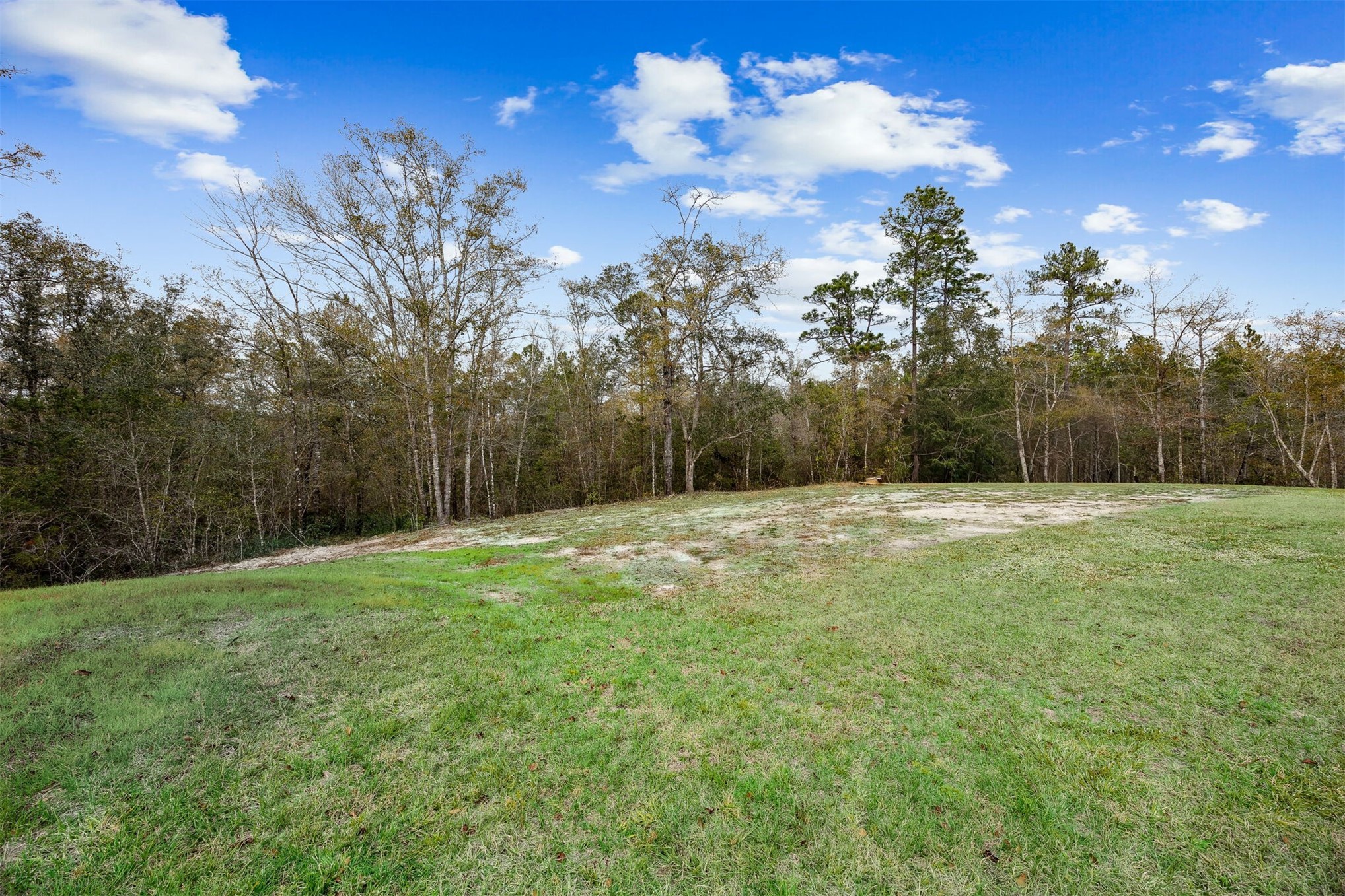 15466 Bullock Bluff Road Bryceville, FL 32009 - Photo 49 of 56 Backyard