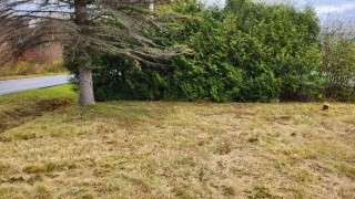 383 Stratton Hill Road West Chazy, NY 12992 - Photo 7 of 7 Gallery Image 7