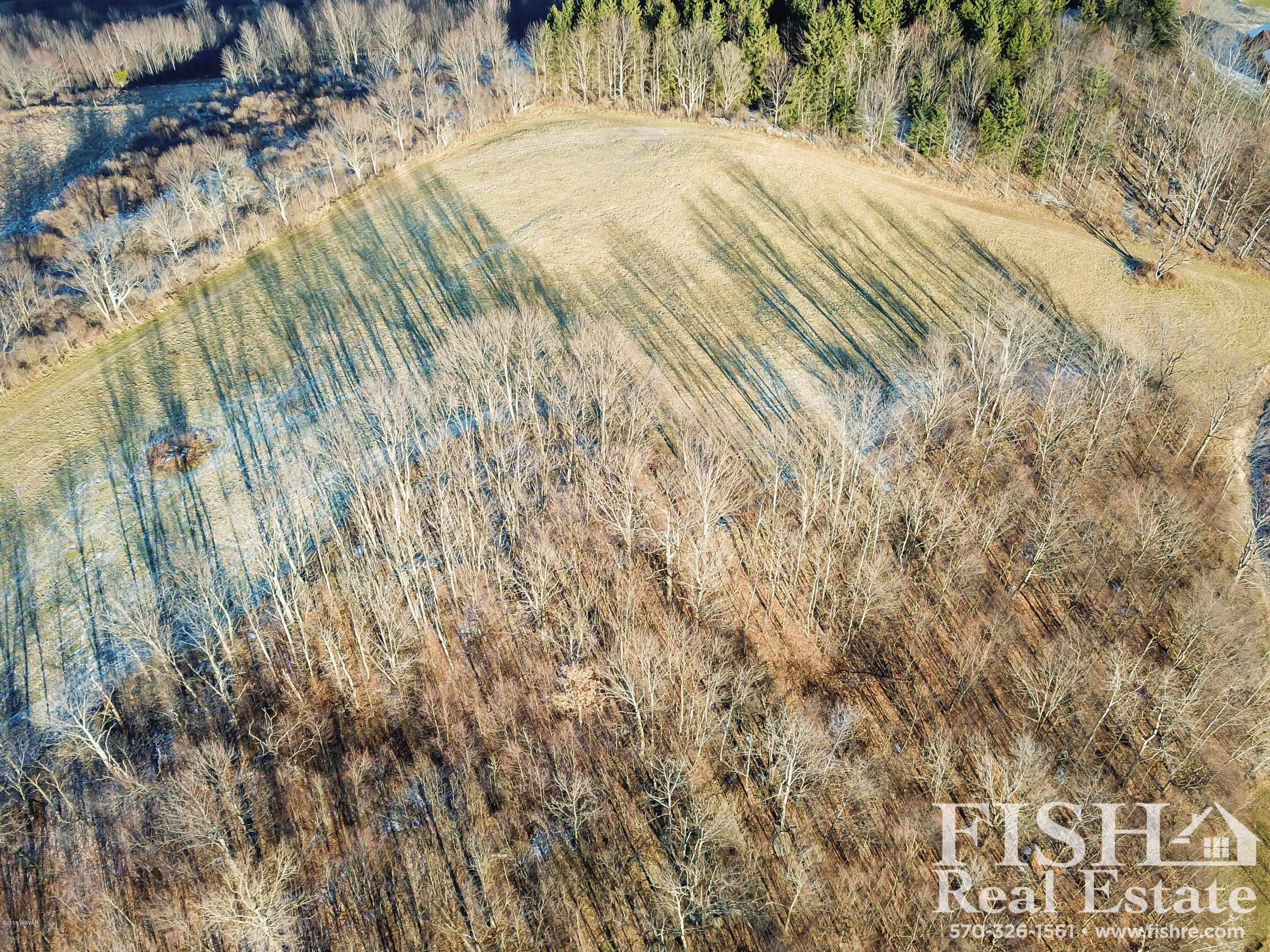 885 Frost Road Covington, PA 16917 - Photo 38 of 39 Drone Woods and Field