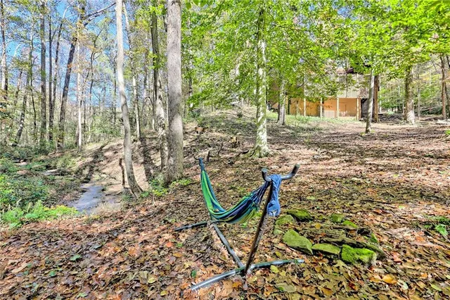 a view of a yard with plants and trees