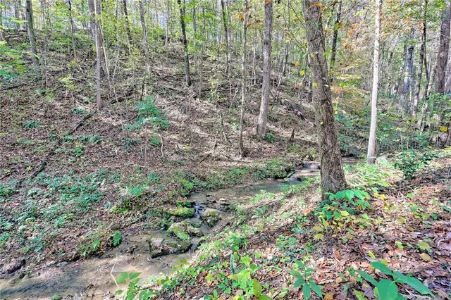 a view of a garden with a tree