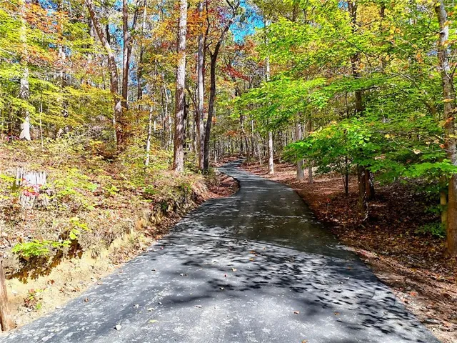 a view of backyard with green space