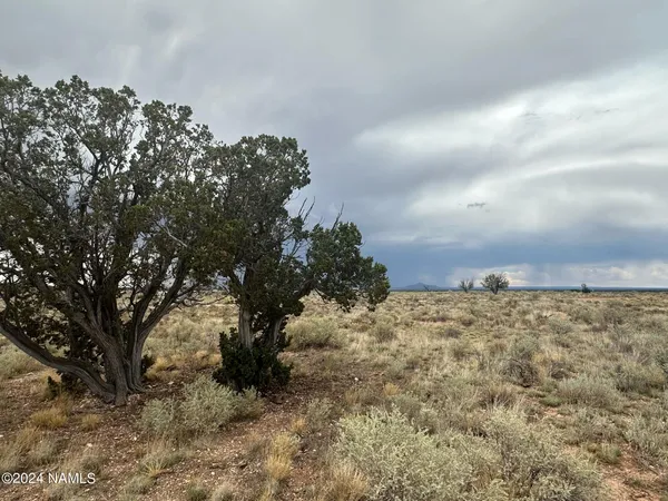 $15,500 | 1224 Valle Road, Unit 8, Williams, AZ 86046