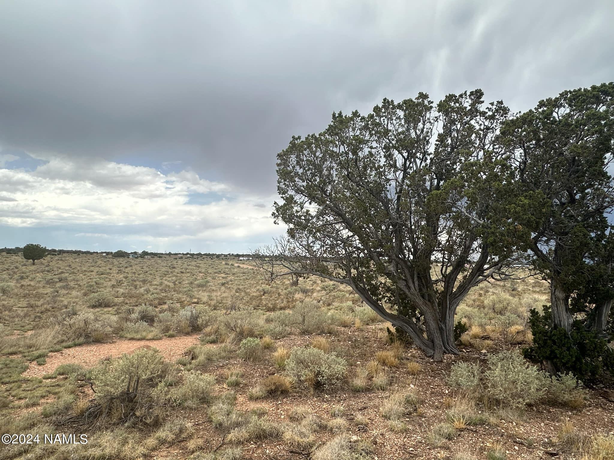 1224 Valle Road, Unit 8 Williams, AZ 86046 - Photo 4 of 10 87fe2877-f5ea-40a3-b2e9-1231a62a60ac